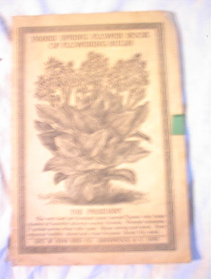 Parks Spring Flower Book of Flowering Bulbs