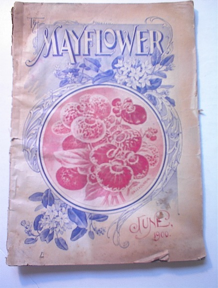 The Mayflower,June.1900,Crimson Rambler Rose