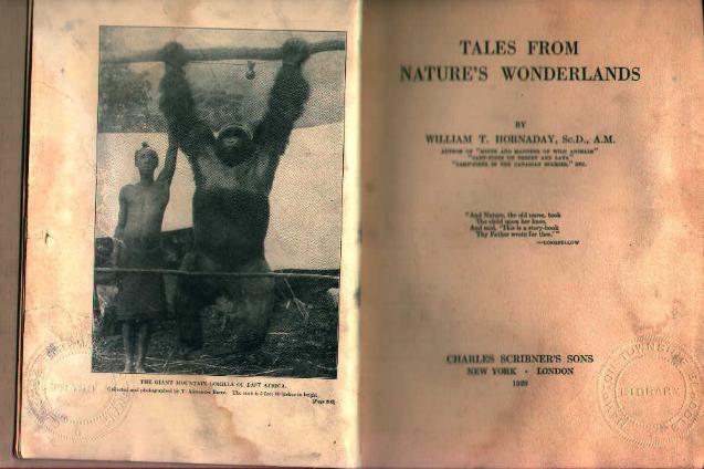 Tales From Natures Wonderlands by W Hornady