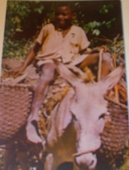 1960 The Little Woodman,Jamaica,B.W.I.