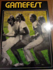 GAMEFEST 13 x 20 CRAZY POSTER
