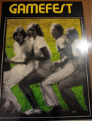 GAMEFEST 13 x 20 CRAZY POSTER