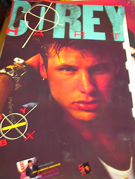 CIREY HART BOY IN THE BOX ALBUM. POSTER