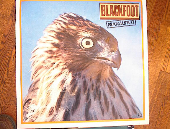 BLACKFOOT 'MARAUDER ALBUM POSTER V-NICE