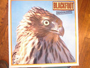 BLACKFOOT 'MARAUDER ALBUM POSTER V-NICE