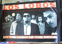 LOS LOBO BY THE LIGHT OF THE MOON' ALBUM