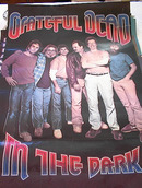 GREATFUL DEAD IN THE DARK ALBUM POSTER