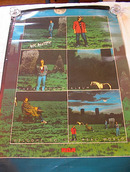 MR. MINSTER WELCOM TO THE REAL WORLD POSTER