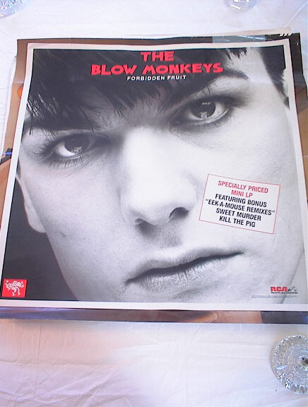 THE BLOW MONKEYS FORBIDDEN FRUIT ALBUM POSTER