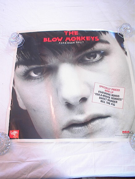 THE BLOW MONKEYS FORBIDDEN FRUIT ALBUM POSTER
