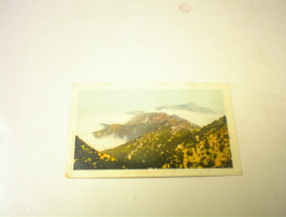 1910 Above The Clouds,Mt. Lowe,Cal