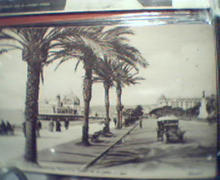 Photo Card of Nice Promenade!