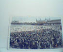 $5.00 Reward if You Find Me in this Crowd!
