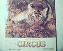 Circus of Syria Shrine from 1987! Color Cover of Tiger!