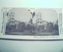 1970 Repro Card 1800-1900s-Westminster Abbey in London!