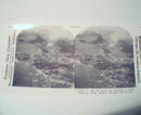 1970 Repro 1800-1900s- Rio de Janiero Southest View!