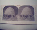 1970 Repro 1800-1900s- Eight Little Maidens Image 11!