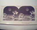1970 Repro 1800-1900s- Eight Little Maids-Image No.12!