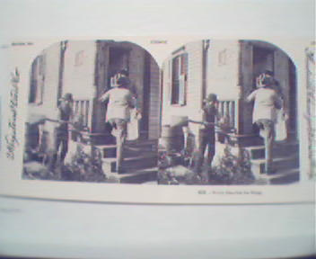 1970 Repro 1800-1900s- Every Kiss Has to Sting!