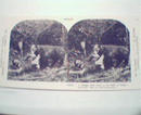 1970 Repro 1800-1900s-Struggle with Wild Bear in Photo!