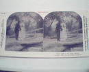 1970 Repro 1800-1900s-Sentimental- Man Kissing Woman
