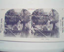 1970 Repro 1800-1900s-Sentimental- A Diver! Risque ?