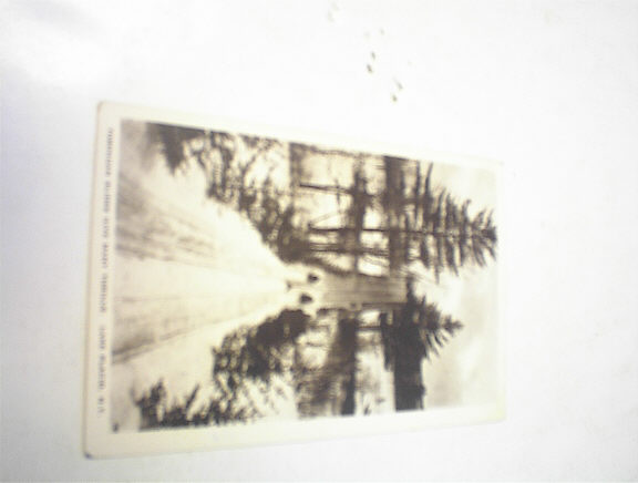 1920 Toboggan Slides Thrills.Lake Placid,N.Y