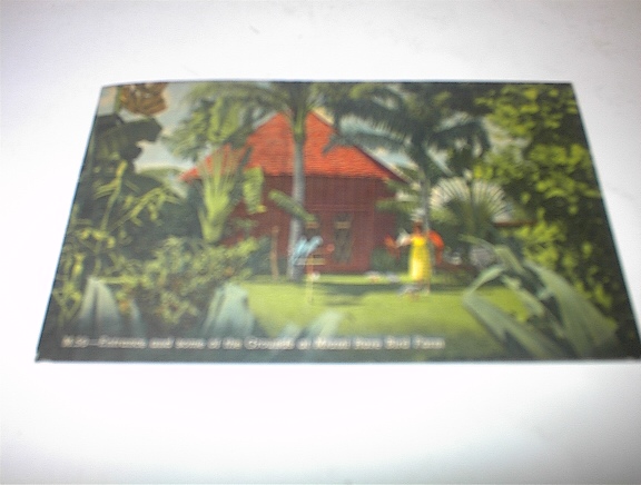 1957 Entrance of Miami Rare Bird Farm