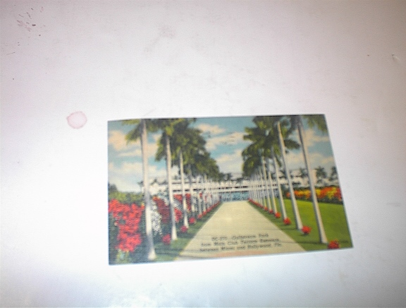 1957 Gulfstream Park between Miami,Florida
