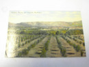 Orchards,Ranches and Vineyards,Wash,1900's