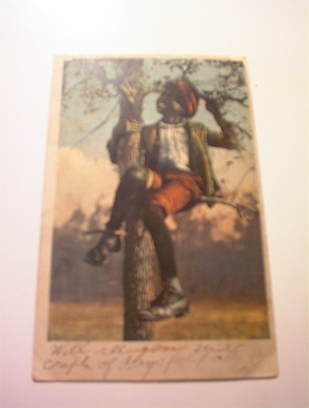 1905 A Treed Coon