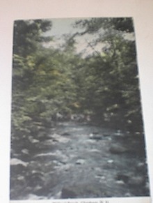 1910 Willard Brook,Chesham,N.H.