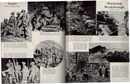 Think Mag Diary of WW2 fantastic photos