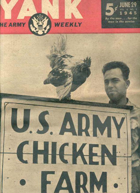 Yank,The Army Weekly/June 29'45/Chicken Farms
