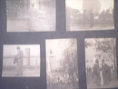 1939 New York World's Fair 17 Family Photos
