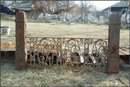 Wrought Iron fence