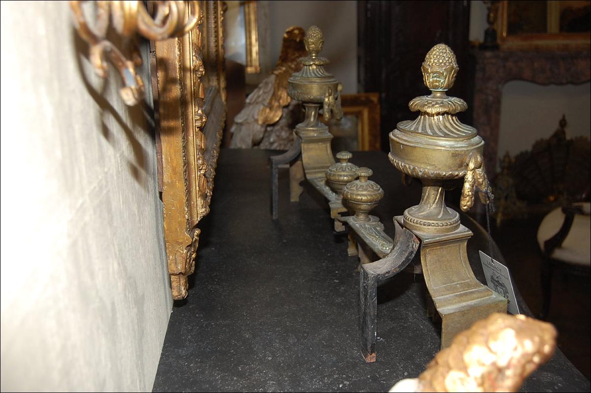 French Bronze Chenet