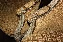 Pair French Bergeres