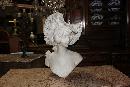 19th Century Marble Bust