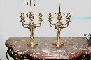 Pair French Bronze Lamps