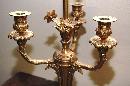 Pair French Bronze Lamps