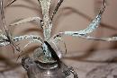 Pair Silver Candelabra