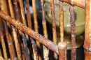 Oriental Bamboo Magazine Rack