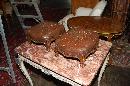 Petite Pair Leather Foot Stools