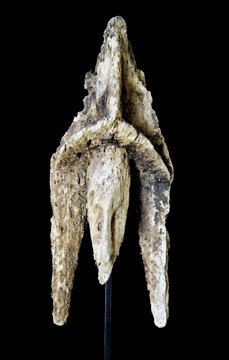 Janiform Figure Remnant