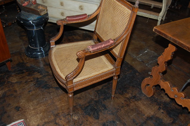 Louis XVI Caned Arm Chair