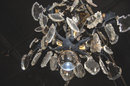 French Crystal Chandelier