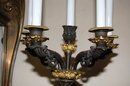 French Bronze Sconce