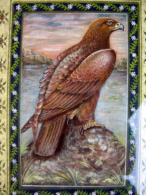 INCREDIBLE PASTEL PAINTING OF EAGLE ON ROCK WOW