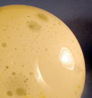 SIGNED ALFREDO BARBINI MURANO CLUTHRA MASSIVE VASE